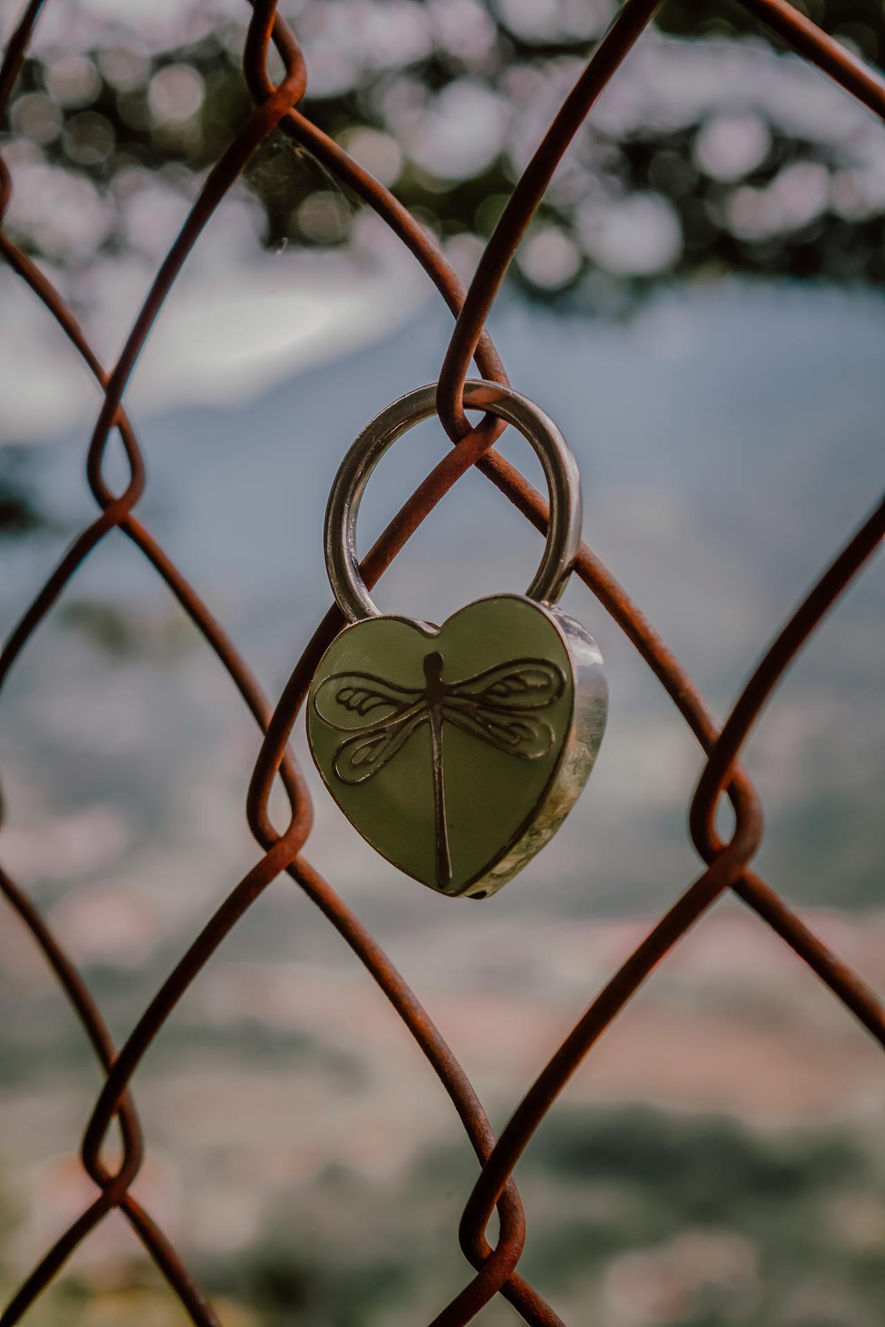 Securing Memories: Creative Ways to Use Engraved Padlocks in Your Life