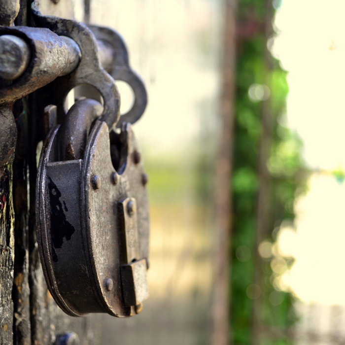 Secure Your Garden: Best Padlocks for Shed Protection Guide