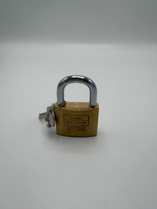 Ex Display - Burg Wachter Profi 116 50